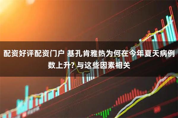 配资好评配资门户 基孔肯雅热为何在今年夏天病例数上升? 与这些因素相关